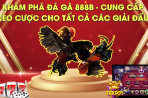 Khám phá Đá gà 888B – Cung cấp kèo cược cho tất cả các giải đấu!